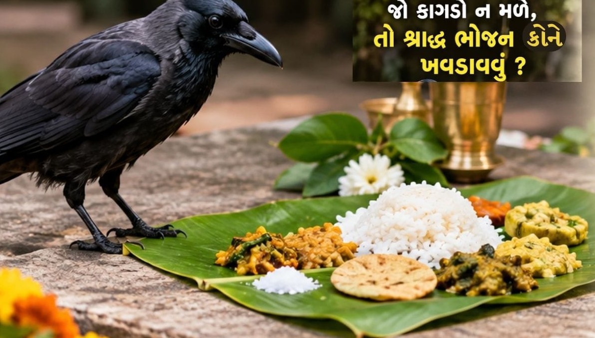 પિતૃપક્ષમાં શ્રાદ્ધ દરમિયાન કાગડો ન મળે તો શું કરવું? જાણો શાસ્ત્રોક્ત નિયમો અને વૈકલ્પિક ઉપાયો