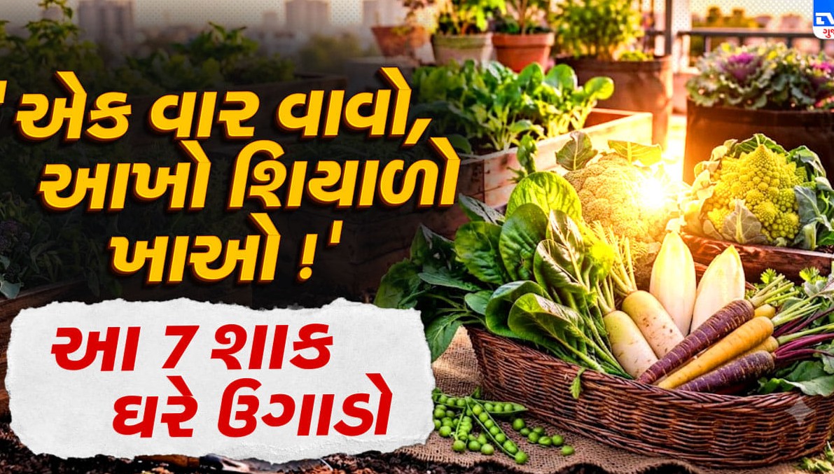 ઓક્ટોબર માસમાં ઘરે જ વાવો આ સાત શાકભાજી: શિયાળામાં બજારમાંથી ખરીદવાની નહીં પડે જરૂર