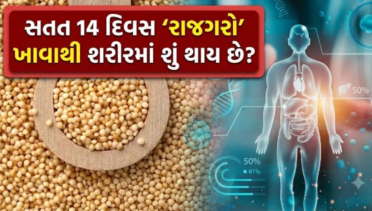 ઉપવાસ પૂરતો સીમિત નથી રાજગરો: સતત ૧૪ દિવસ સેવન કરવાથી શરીરમાં જોવા મળશે અદભુત પરિવર્તન