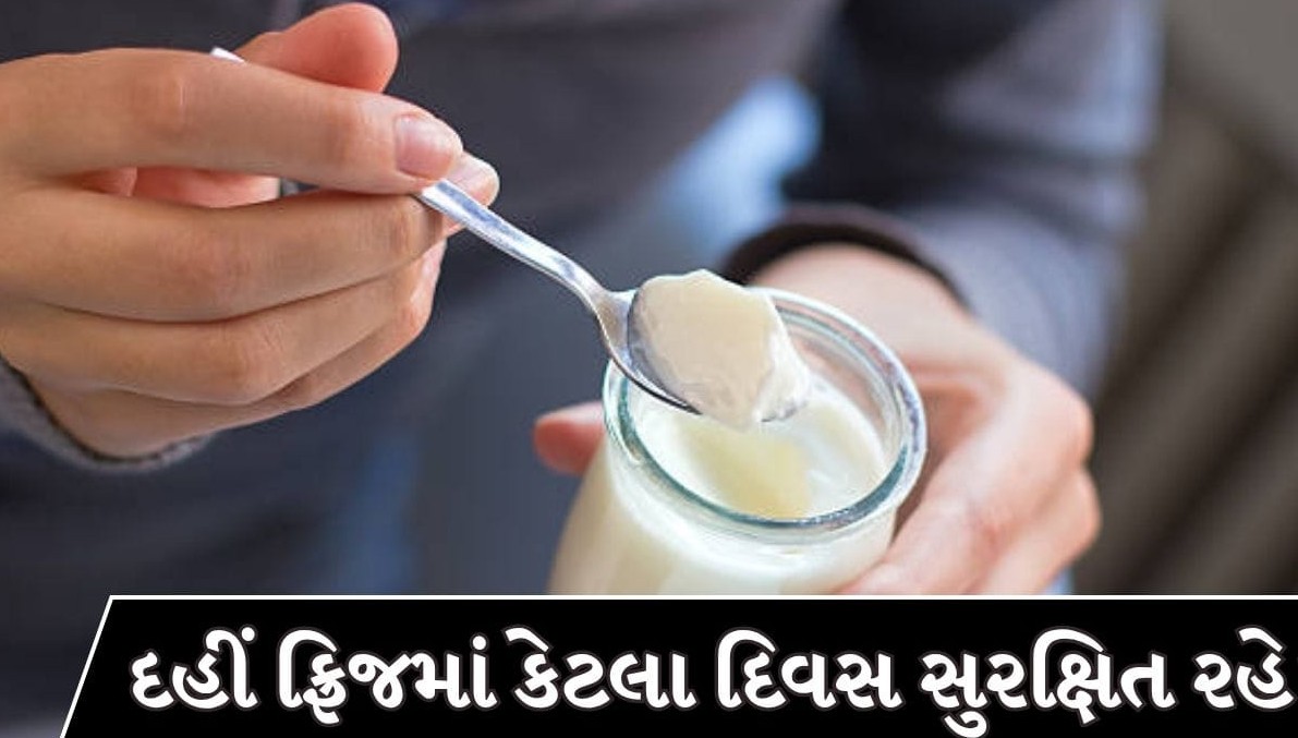 ફ્રિજમાં રાખેલું દહીં કેટલા દિવસ બાદ બની શકે છે હાનિકારક? જાણો તેને સાચવવાની સાચી રીત અને ચેતવણીના સંકેતો