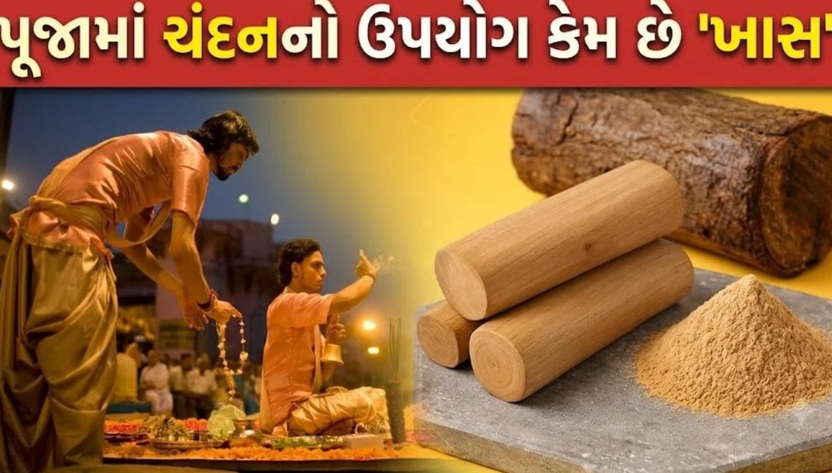 પૂજામાં ચંદનનું વિશેષ મહત્વ: દેવતાઓને અર્પણ કરવાથી લઈને તિલક લગાવવા પાછળનું આધ્યાત્મિક અને વૈજ્ઞાનિક રહસ્ય