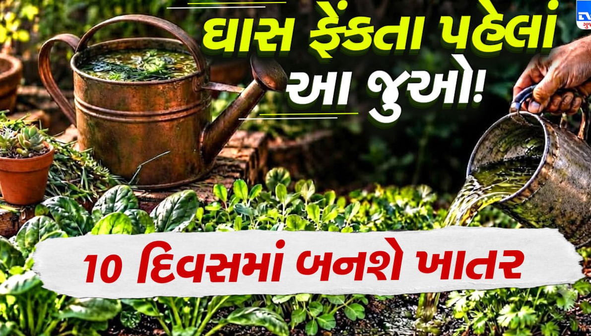 કાપેલી ઘાસને કચરો ન ગણો: માત્ર ૧૦ દિવસમાં ઘરે જ બનાવો નાઇટ્રોજનયુક્ત ઉત્તમ પ્રવાહી ખાતર