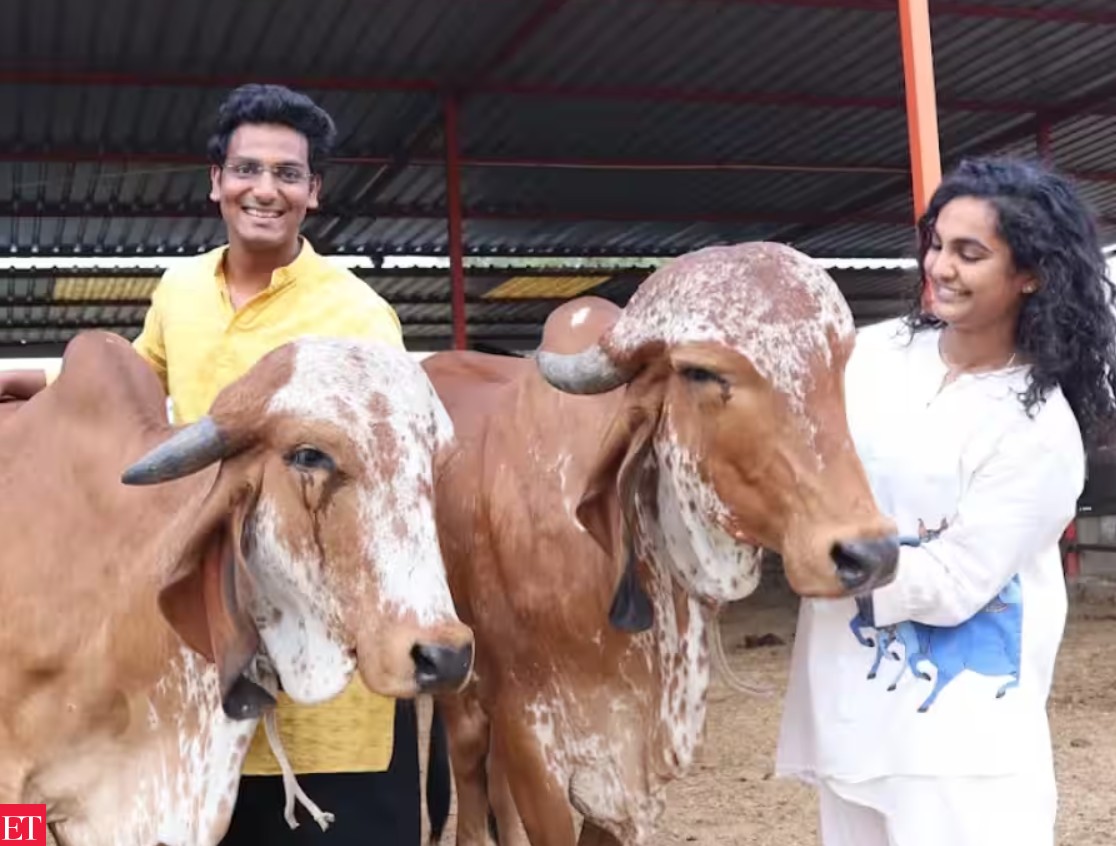 ભાડે લીધેલી ૨૦ ગાયોથી શરૂઆત કરી એન્જિનિયર દંપતીએ ઊભું કર્યું ૨.૪ કરોડનું ઓર્ગેનિક ફાર્મ: ૧૦૦ ગીર ગાય અને ચંદનની ખેતી થકી મેળવી અદ્ભુત સફળતા