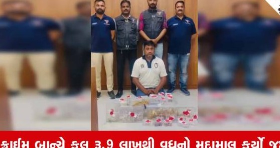 અમદાવાદમાં સોના-ચાંદીના નામે રૂ. ૨૭.૬૮ લાખની ઠગાઈ આચરનાર પિતા-પુત્રને ક્રાઈમ બ્રાન્ચે ઝડપ્યા
