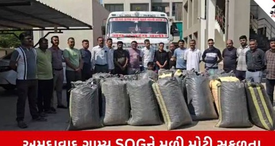 ધોળકા હાઈવે પરથી દોઢ કરોડ રૂપિયાના પોસ ડોડાનો જંગી જથ્થો ઝડપાયો: મધ્યપ્રદેશથી કચ્છ જતી ટ્રક સાથે એક શખ્સની ધરપકડ