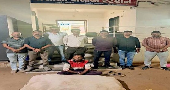 સાબરકાંઠાના દોતડ ગામે કપાસની આડમાં થતી ગાંજાની ખેતી ઝડપાઈ: ૬.૫૭ લાખના મુદ્દામાલ સાથે એક શખ્સની ધરપકડ