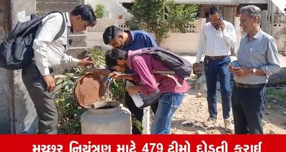 બનાસકાંઠાના પાલનપુરમાં ડેન્ગ્યુનો કહેર: દસ દિવસમાં છથી વધુ કેસો નોંધાતાં આરોગ્ય વિભાગમાં દોડધામ