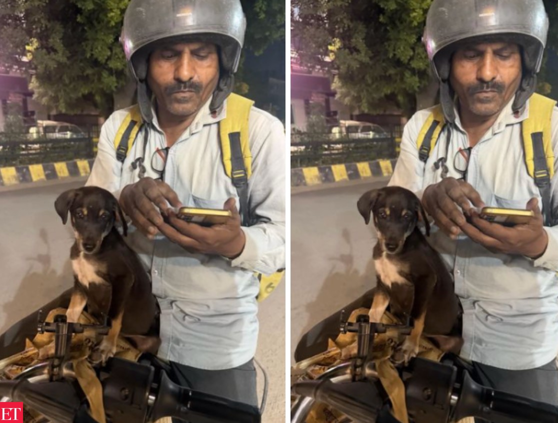 માનવતાનું ઉત્તમ ઉદાહરણ: માર્ગ અકસ્માતમાં ગંભીર રીતે ઘવાયેલા અબોલ જીવને ડિલિવરી કર્મીઓએ બચાવી આપ્યો નવો આશરો