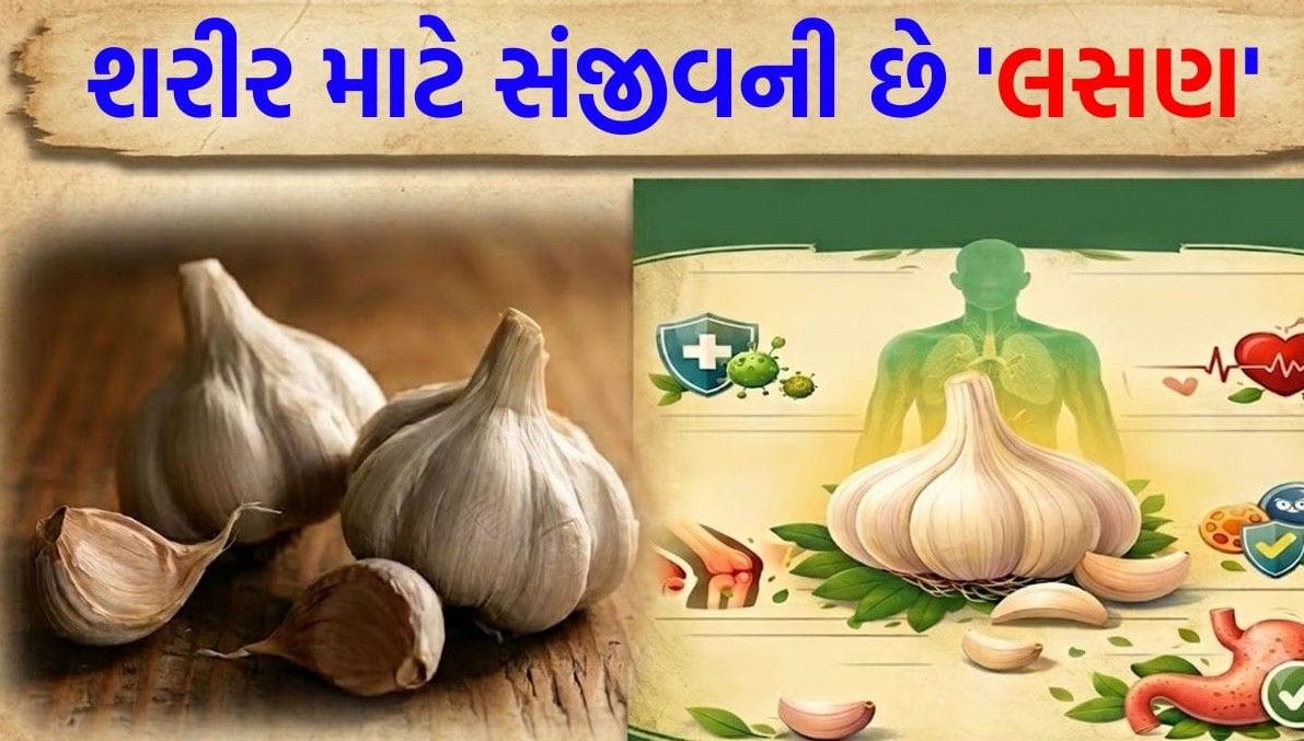 દરરોજ લસણની એક કળી ખાવાથી બ્લડ પ્રેશર અને કોલેસ્ટ્રોલ પર થાય છે અદભુત અસર