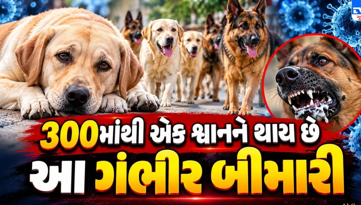 માણસ જ નહીં, આપણા વફાદાર શ્વાનને પણ ભરડામાં લઈ રહી છે ડાયાબિટીસ જેવી ગંભીર બીમારી