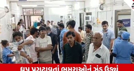 પાલનપુરના જસલેણી ગામે ધાર્મિક વિધિ દરમિયાન ભમરાના ઝુંડનો હુમલો, ત્રીસથી વધુ ગ્રામજનો ઈજાગ્રસ્ત