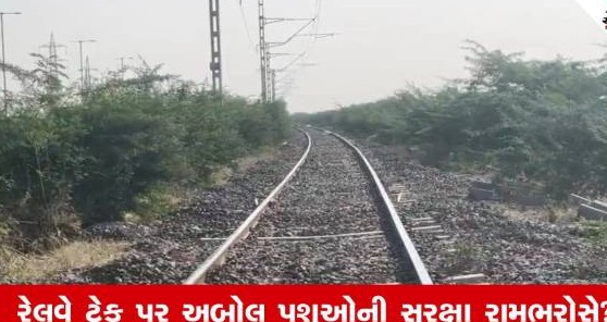 કચ્છના મુન્દ્રામાં માલગાડીની અડફેટે સત્તરથી વધુ ગૌવંશના કરુણ મોત, પશુપ્રેમીઓમાં ભારે રોષ