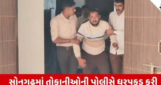 તાપીના સોનગઢમાં પથ્થરમારો કરનાર દસ શખ્સો પોલીસ સકંજામાં, પ્રશાસનની શાંતિ જાળવવા અપીલ