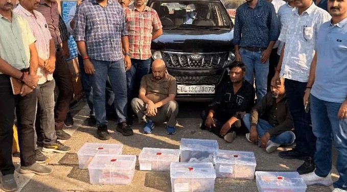 અમદાવાદમાં અંડરવર્લ્ડનું મોટું નેટવર્ક પકડાયું: પચીસ કરોડથી વધુના પ્રતિબંધિત નશીલા પદાર્થો સાથે ત્રણ કુખ્યાત આરોપીઓની ધરપકડ