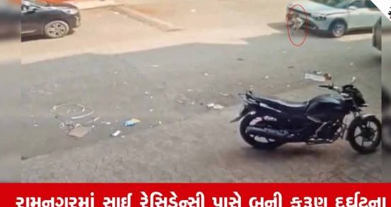 વાપીના છીરી વિસ્તારમાં બેફામ કારચાલકે રમતા બાળકને અડફેટે લેતા કમકમાટીભર્યું મોત