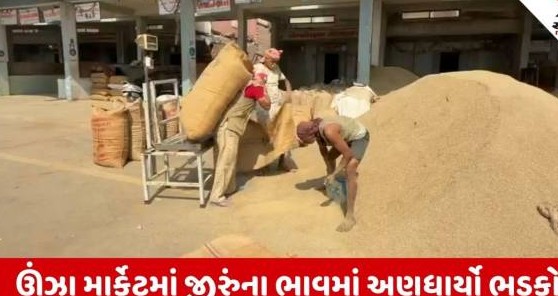 ઊંઝા બજારમાં જીરુંના ભાવમાં તોતિંગ ઉછાળો, વાતાવરણની પ્રતિકૂળ અસર અને અસંતુલનને કારણે ખેડૂતોમાં ખુશીની લહેર