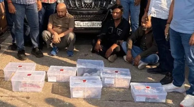 અમદાવાદમાં ઝડપાયેલા રૂા. છવ્વીસ કરોડના ડ્રગ્સ પ્રકરણમાં દેશવ્યાપી નેટવર્કનો પર્દાફાશ