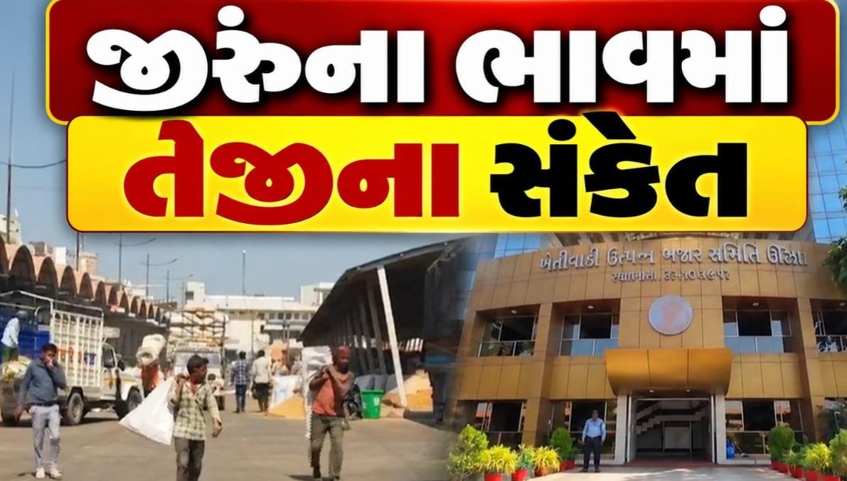જીરુંના ભાવમાં તેજીના સંકેતથી ગુજરાતના ખેડૂતોને મળશે મોટી રાહત