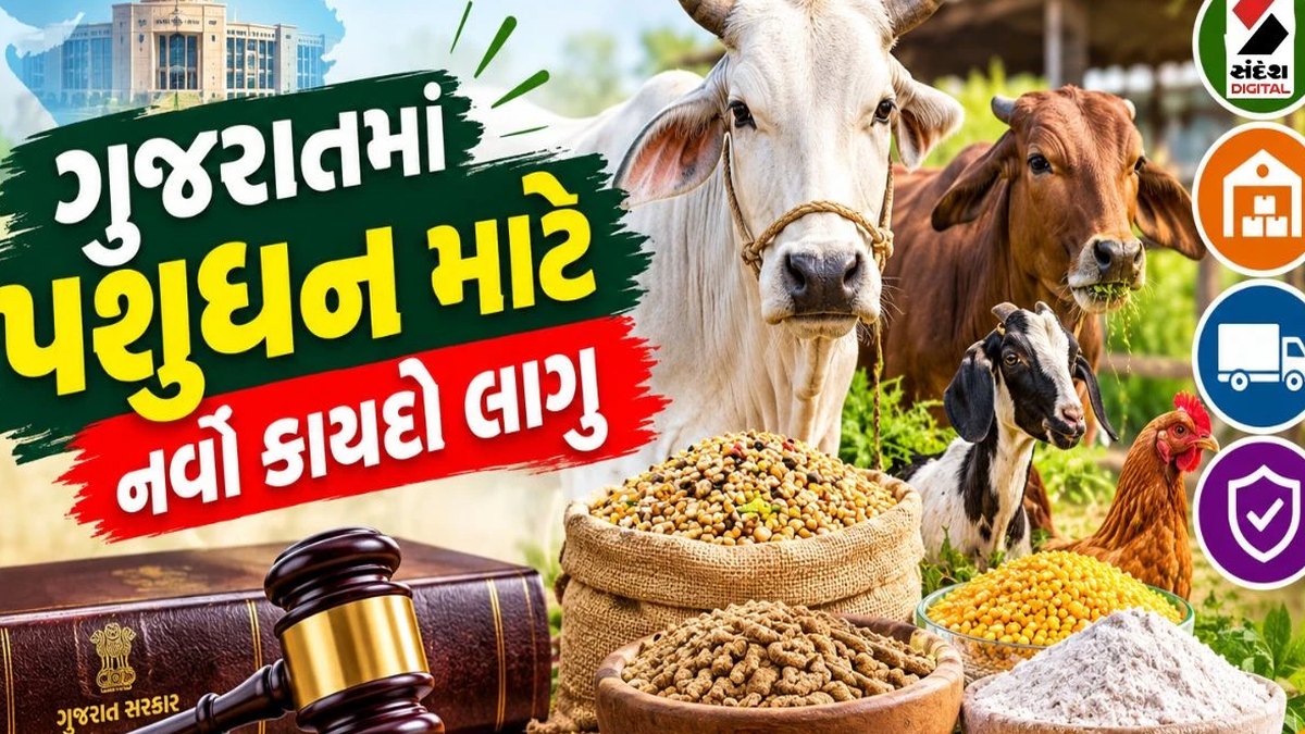 મૂંગા જીવોના આરોગ્ય રક્ષણ અર્થે ઐતિહાસિક પગલું: ગુજરાતમાં ‘પશુધન આહાર અધિનિયમ-૨૦૨૬’ આજથી વિધિવત અમલી